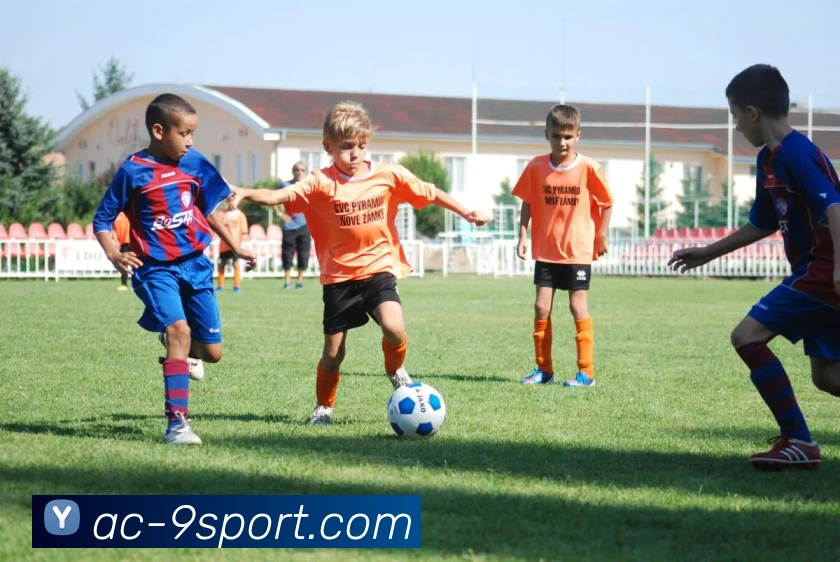 九游官网平台生态图